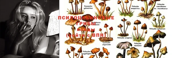 кокаин колумбия Бородино