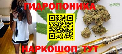 винт Ачхой-Мартан
